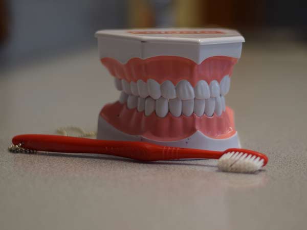 Dental X-Rays